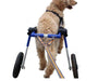 Wheelchair Dog Lead - ZOOMADOG