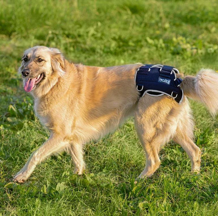 Balto® Life - Dog Hip Dysplasia Brace - ZOOMADOG