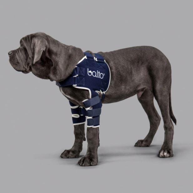 Balto® Lux - Dog Shoulder Brace - ZOOMADOG
