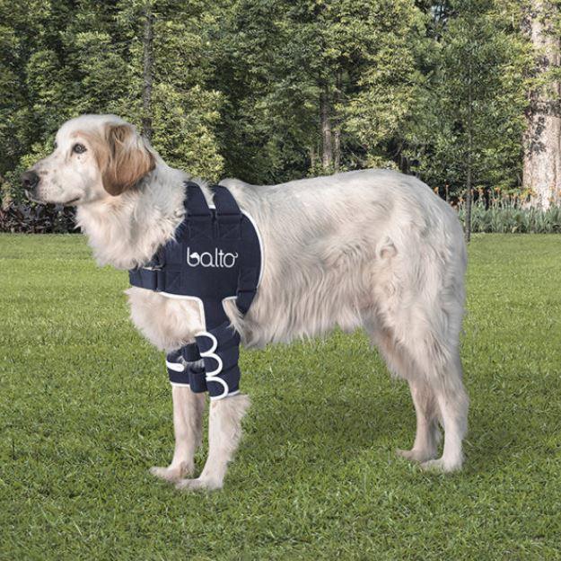 Best Dog Shoulder Braces - Help Your Dog with Shoulder Dysplasia or Weakness