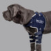 Balto® Lux - Dog Shoulder Brace - ZOOMADOG