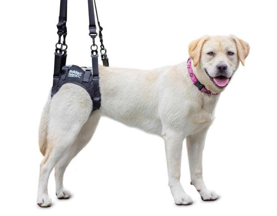 Dog Rear Harnesses 50% Off - Walkin Rear Lift Dog Harness - best for Walkin Wheelchair ...