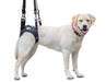 Walkin’ Rear Lift Dog Harness - ZOOMADOG