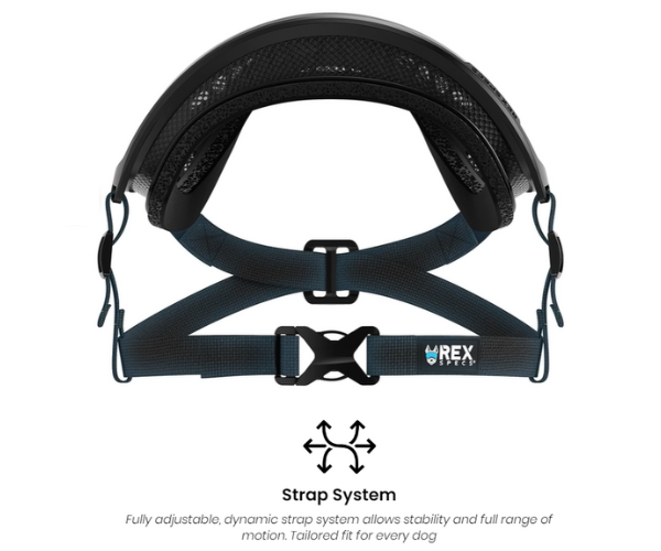 Goggles for blind deals dogs