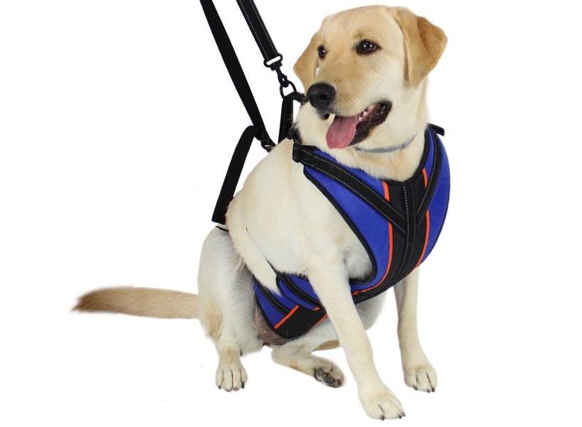 Walkin' Support RX - Total Body Support for Dogs — ZOOMADOG