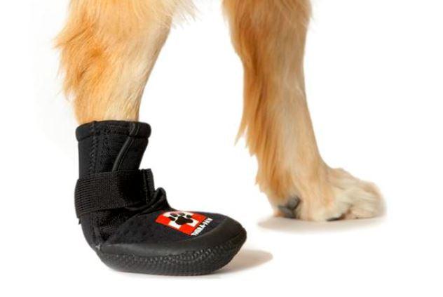 Orthopedic dog boots uk Clearance