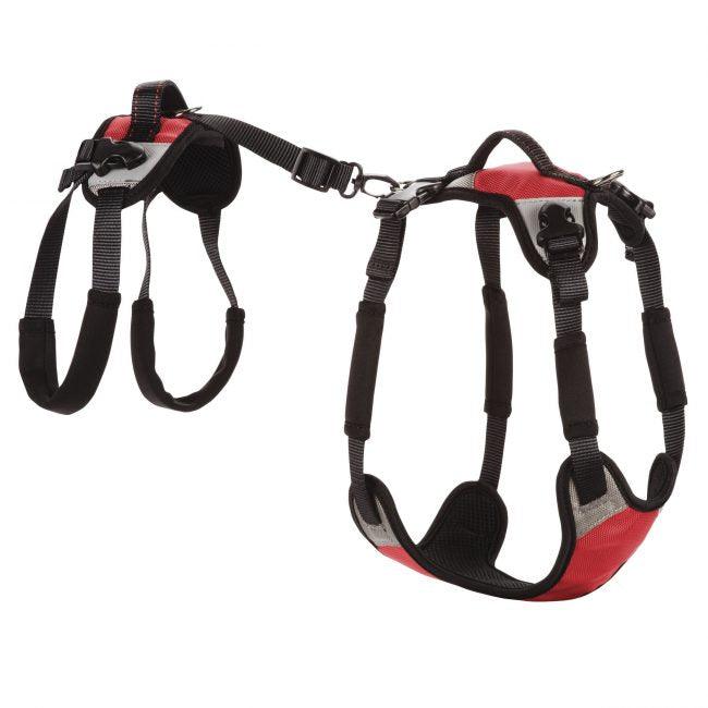TUSH The Ultimate Support Harness for Dogs - ZOOMADOG