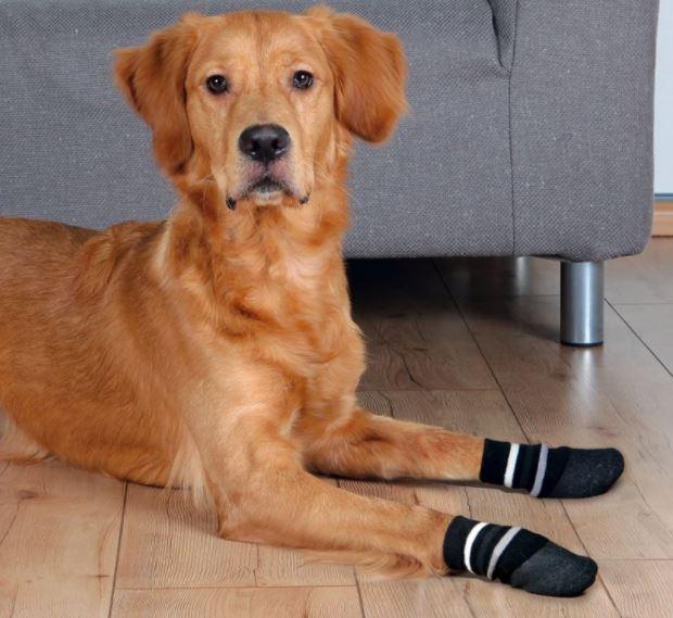 Walkin' Traction Dog Socks (Indoor & Outdoor Use) — ZOOMADOG