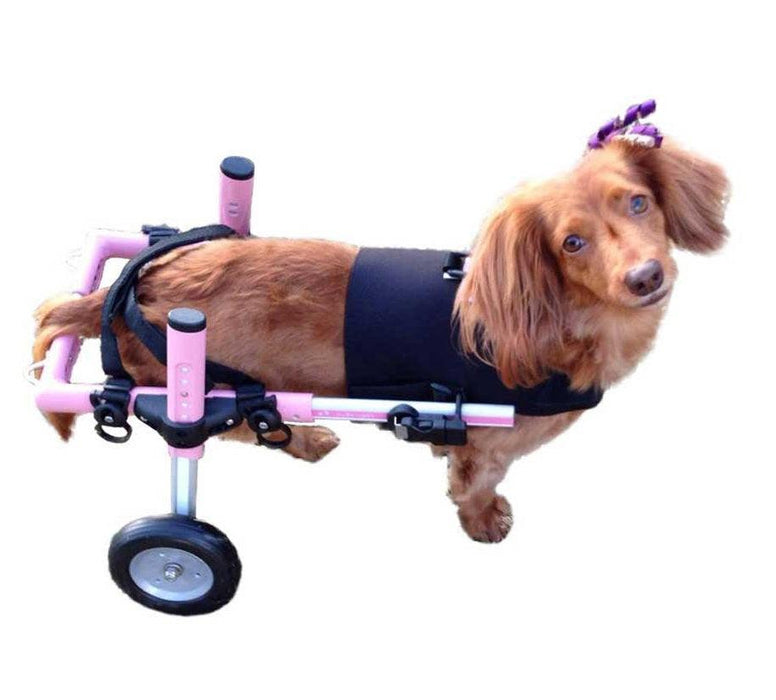 Walkin’ Front Vest for Small Dog Wheelchairs - ZOOMADOG