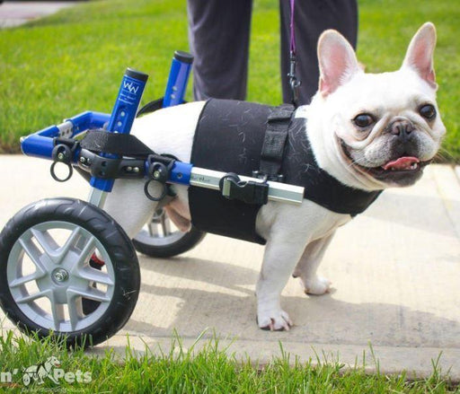 Walkin’ Front Vest for Small Dog Wheelchairs - ZOOMADOG