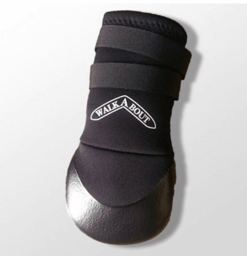 Orthopedic 2025 dog shoes